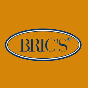 logo-Brics.jpg